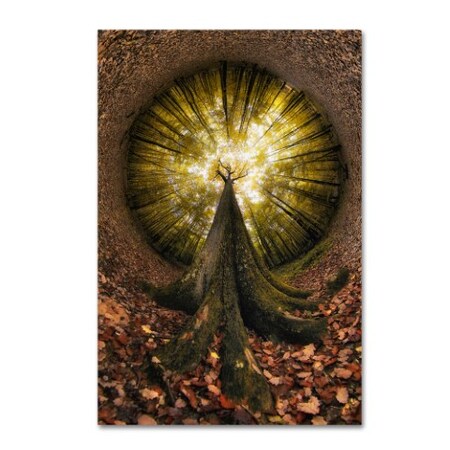 Trademark Fine Art Francois Casanova 'Four Centuries High' Canvas Art, 16x24 1X04249-C1624GG